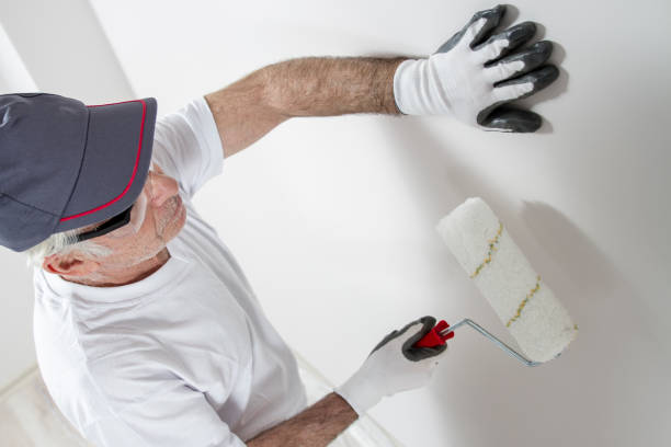 Best Fire-Damaged Drywall Repair  in Lake Hamilton, FL