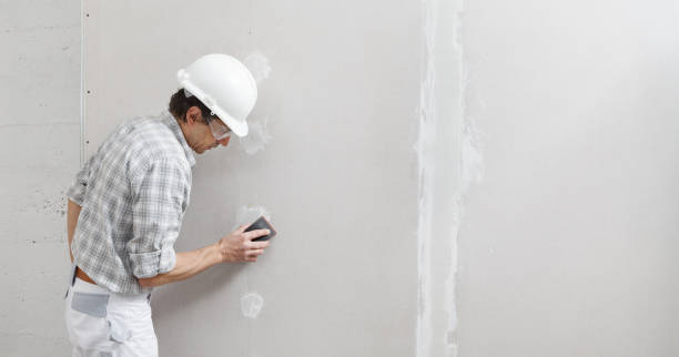 Best Commercial Painting  in Lake Hamilton, FL